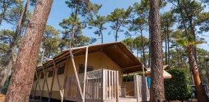 Zelt ECOLUXE 4/5P