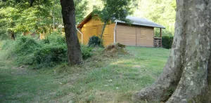 Chalet Bois Standard 30m² - 2 chambres + terrasse couverte