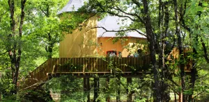 Blokhut Manoir dans les branches
