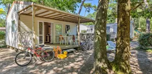 Chalet 2sk (zonder TV) | STANDARD - 24m² - overdekt terras
