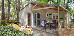 Cottage Premium 3sk | PREMIUM - 32 tot 42m² - TV - vaatwasser - GRATIS WIFI