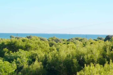 Camping Alannia Costa Blanca
