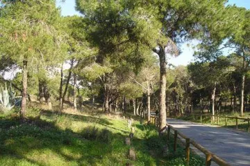 Camping Alannia Costa Blanca