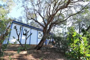 Camping U Pinarellu