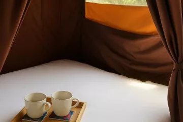 Camping U Pinarellu