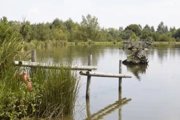 Natura Resort Pescalis Holiday Park