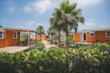 HolaCamp Barcelona by Viajes Velero 