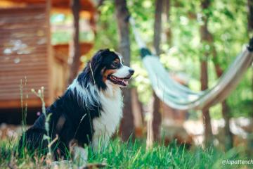 Camping Lac de Sainte Croix