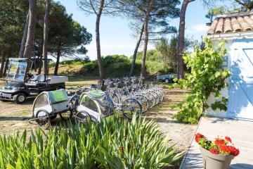 Camping Tamarins Plage