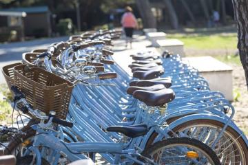 Camping Tamarins Plage