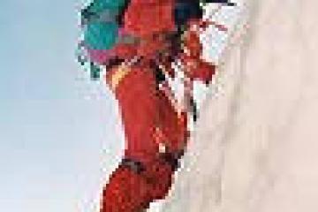 Flower Camping  A La Rencontre du Soleil