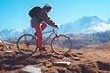 Flower Camping  A La Rencontre du Soleil