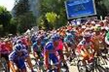 Flower Camping  A La Rencontre du Soleil