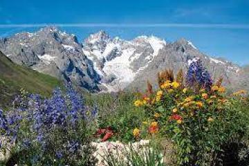 Flower Camping  A La Rencontre du Soleil