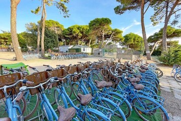 Le suroit velo online