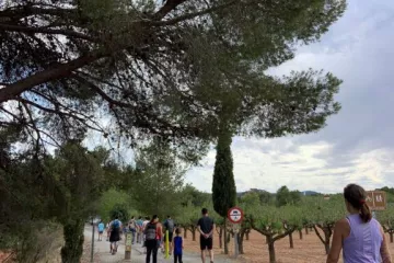 Altomira Campsite 