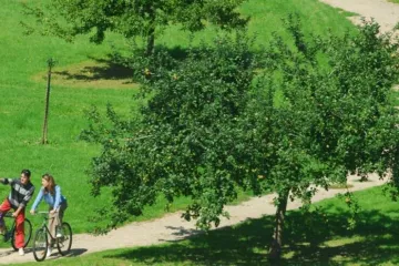 Camping de la Forêt