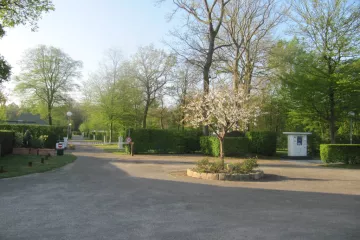 Camping de la Forêt
