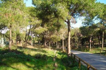 Alannia Guardamar Campsite 