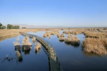 Alannia Guardamar Campsite 