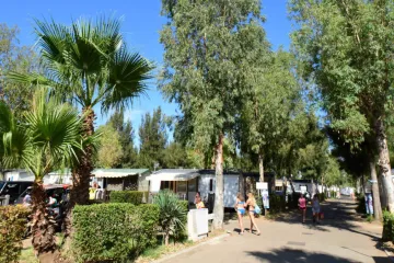 Campsite Les Palmiers