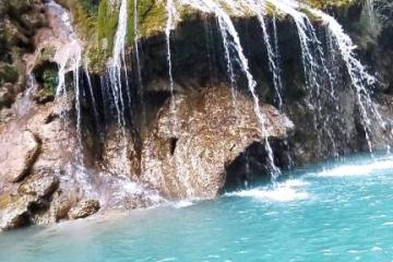 Flower Camping La Rivière