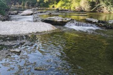 Flower Camping La Rivière