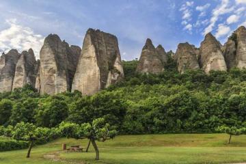 Flower Camping La Rivière