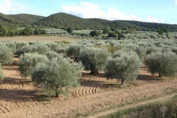 Flower Camping La Rivière