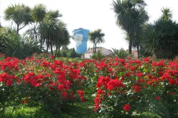 Campsite Le Sainte Marie