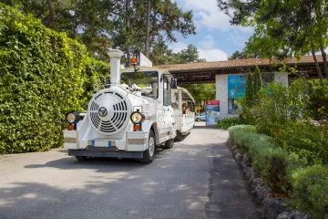 Campingdorf Mare Pineta