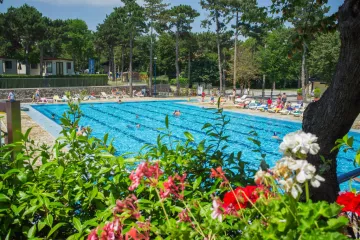 Campingdorf Mare Pineta
