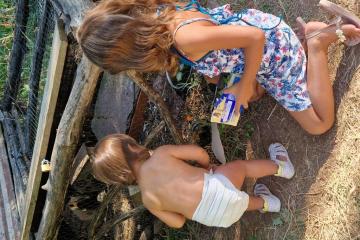 Le Hameau des Genêts