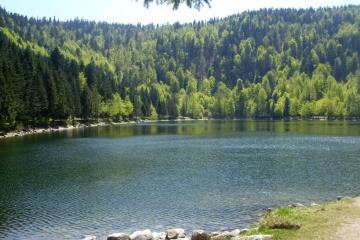 Camping LA STÈNIOLE