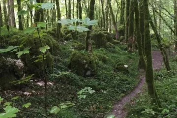 Camping La Roche d'Ully