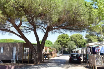 Campingplatz Le Méditerranée