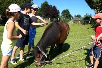 Le Hameau des Genêts