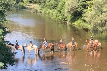 Le Hameau des Genêts
