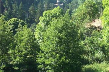 Flower Camping La Rochelambert