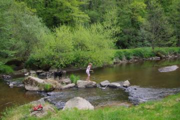Flower Camping La Rochelambert