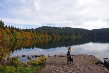 Flower Camping La Rochelambert