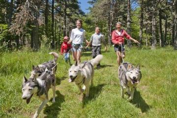 Flower Camping La Rochelambert