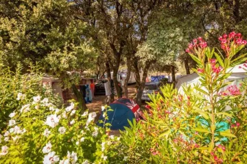 Domaine de Gajan Campsite