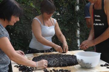 Camping FONTAINE DU ROC
