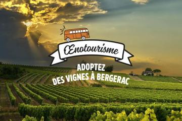 Camping FONTAINE DU ROC