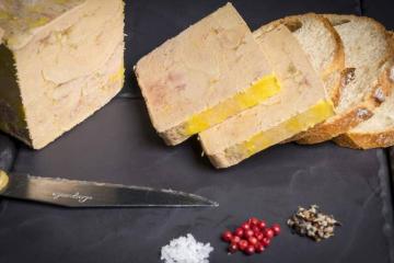 Camping FONTAINE DU ROC