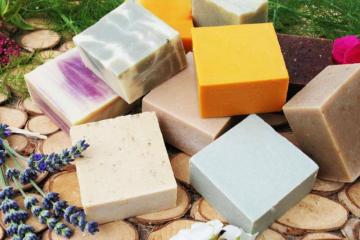 Camping FONTAINE DU ROC