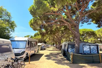 Camping Vall d’Or