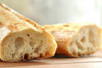 Flower Camping LA BEXANELLE