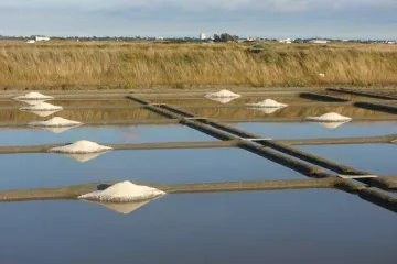 L'Etang du Pays Blanc Campsite